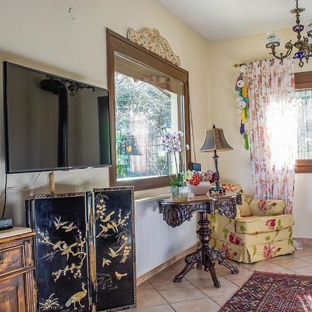 Apartament Sofia'S House PalaiónTsiflíkion Zewnętrze zdjęcie