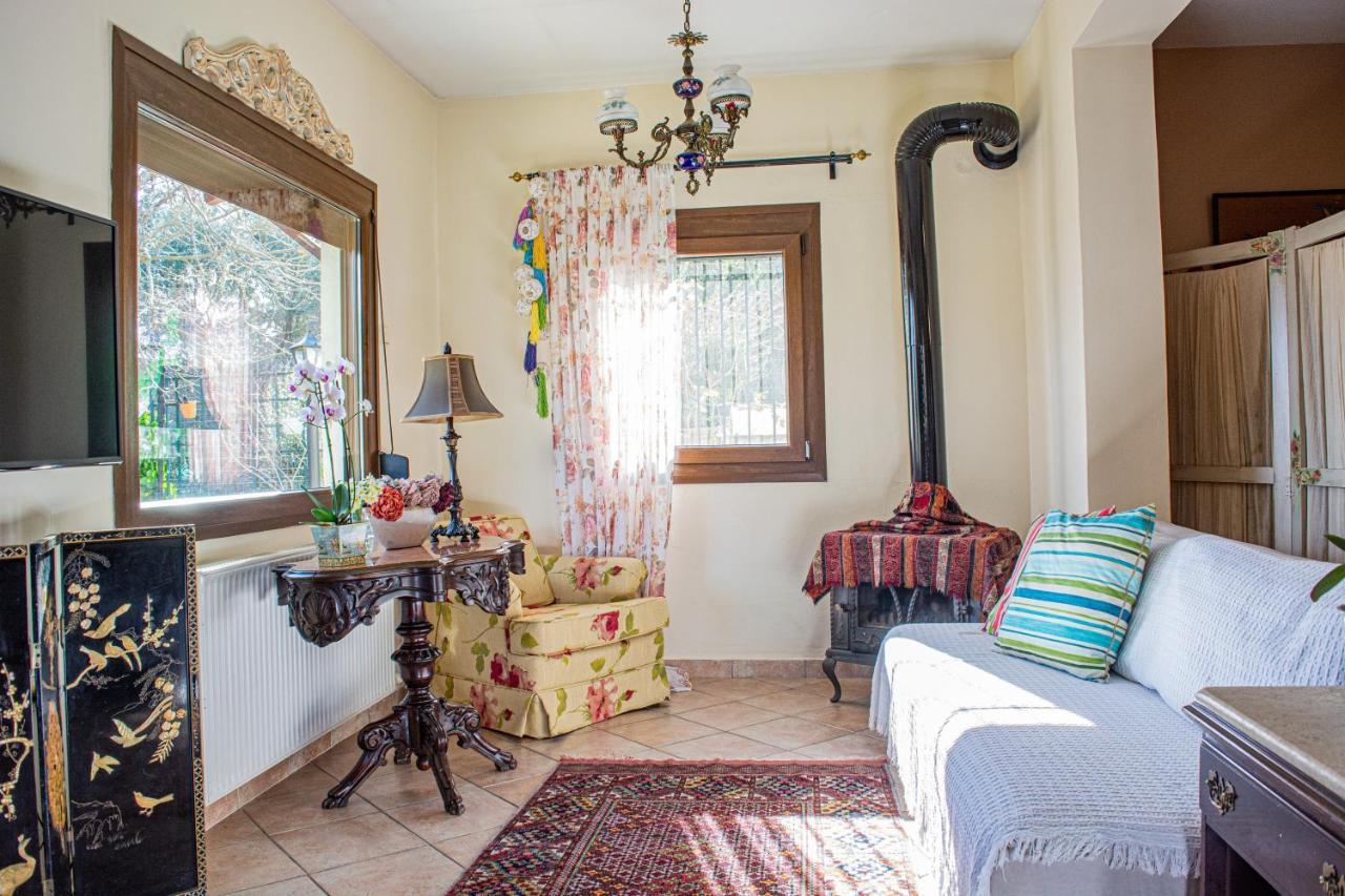 Apartament Sofia'S House PalaiónTsiflíkion Zewnętrze zdjęcie