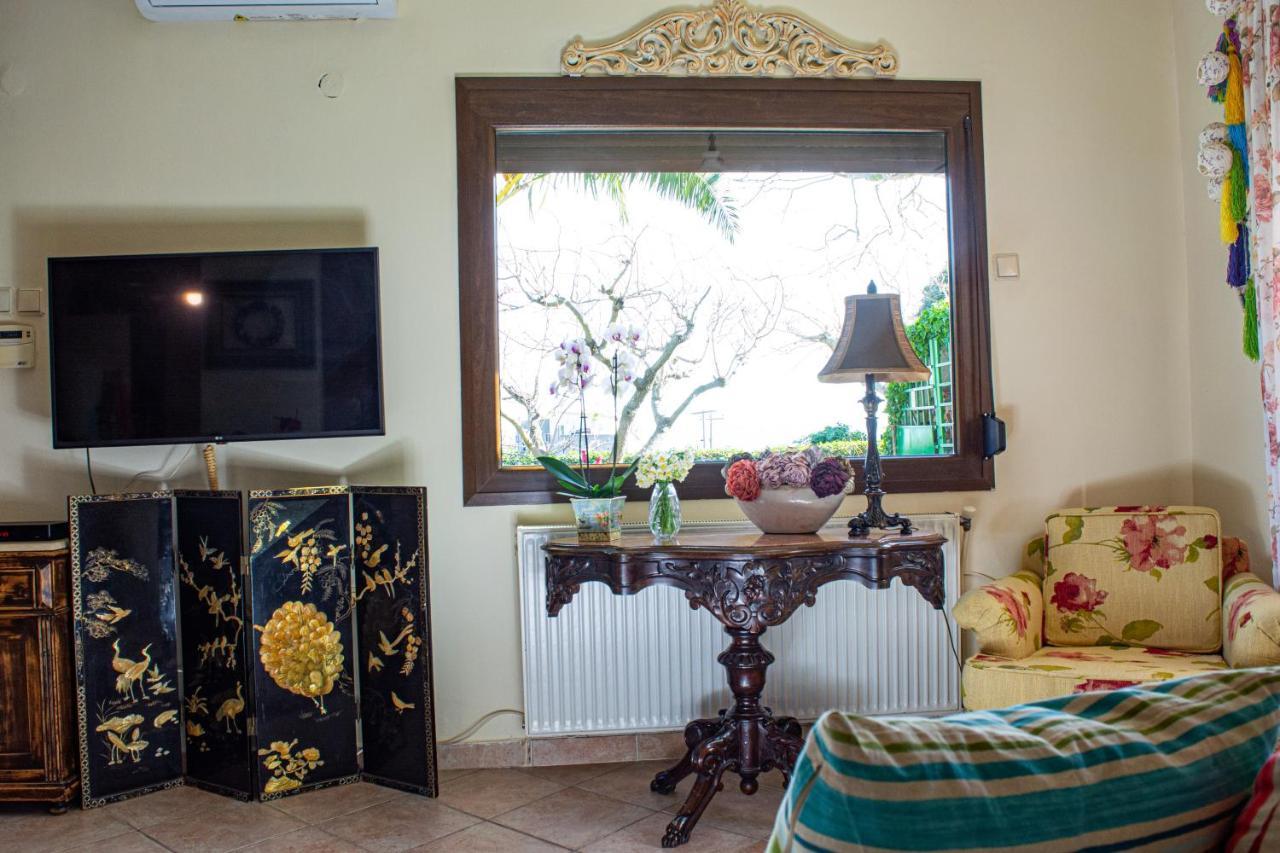 Apartament Sofia'S House PalaiónTsiflíkion Zewnętrze zdjęcie