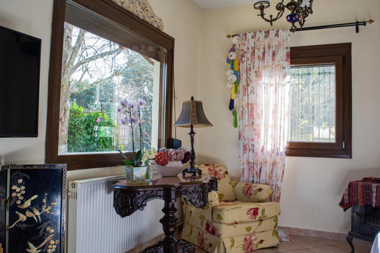 Apartament Sofia'S House PalaiónTsiflíkion Zewnętrze zdjęcie