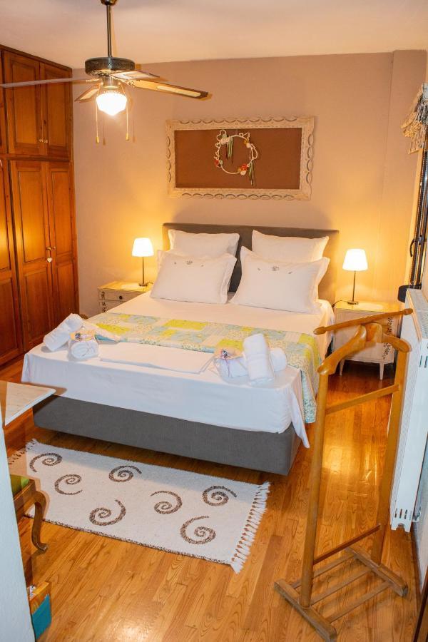 Apartament Sofia'S House PalaiónTsiflíkion Zewnętrze zdjęcie